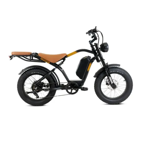 Bike Elétrica Rava E-Volve e E-Pulse ( NÃO ACEITO OLX PAY)