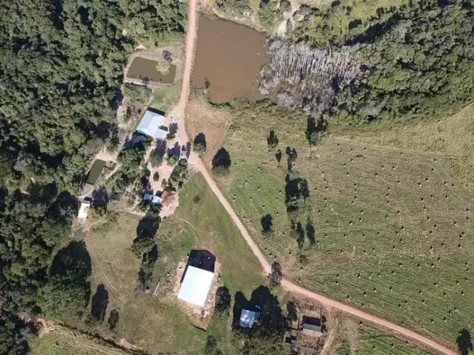 Fazenda à Venda em Barra do Garças  MT | 1.827 Hectares | Lavoura e Pecuária
