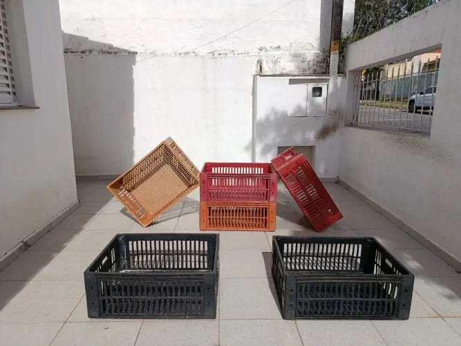 Caixas organizadoras de feira
