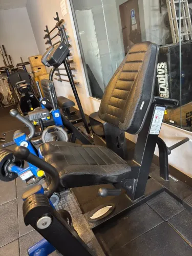 CADEIRA EXTENSORA - R$9.000