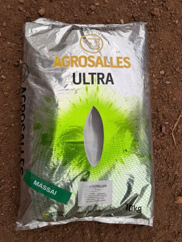 Capim Massai Agrosalles Ultra