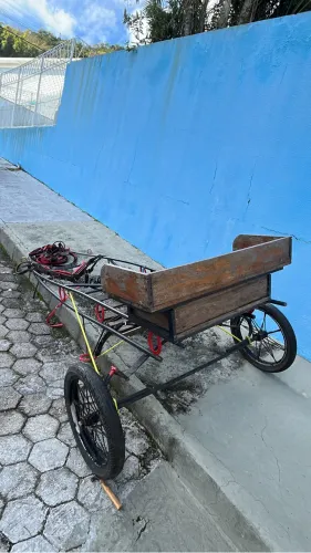 Charrete é curriama