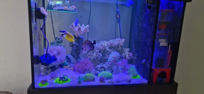 Aquaruario 220lt