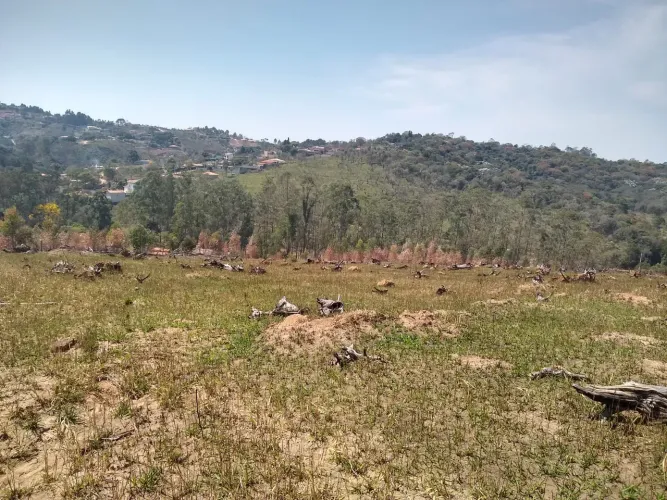 Terreno Sitio 20.500,00 m2 /Saint James II - Campo Limpo Paulista - SP/ Aproveitameto 100%