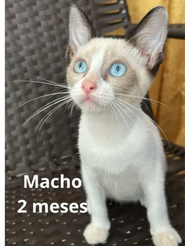 DOAÇÃO RESPONSÁVEL?