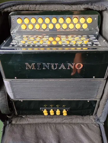 Acordeon gaita sanfona 8 baixos Minuano 