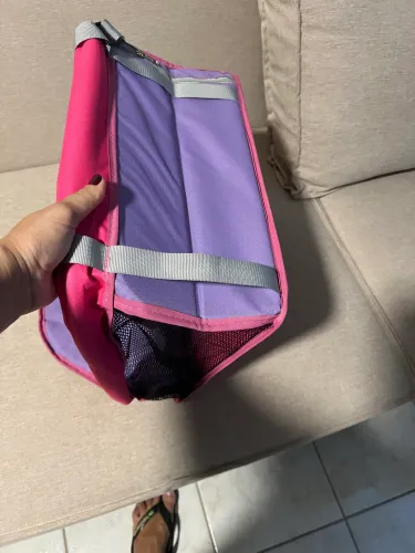 Pet Seguro Passeio