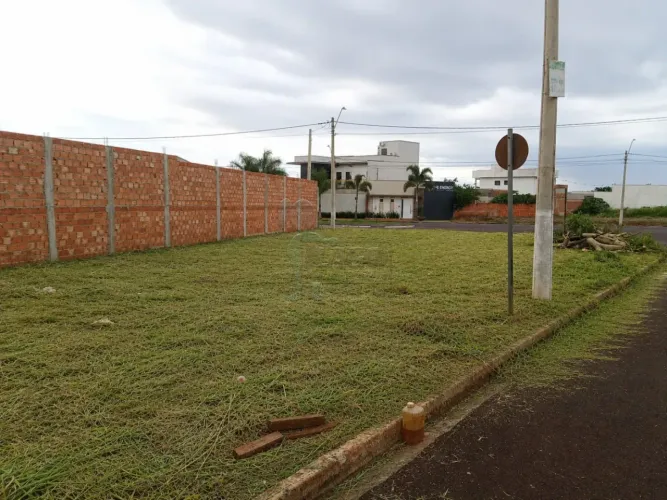 Terreno de 200m² com espaço amplo à venda - Nova Pradópolis I