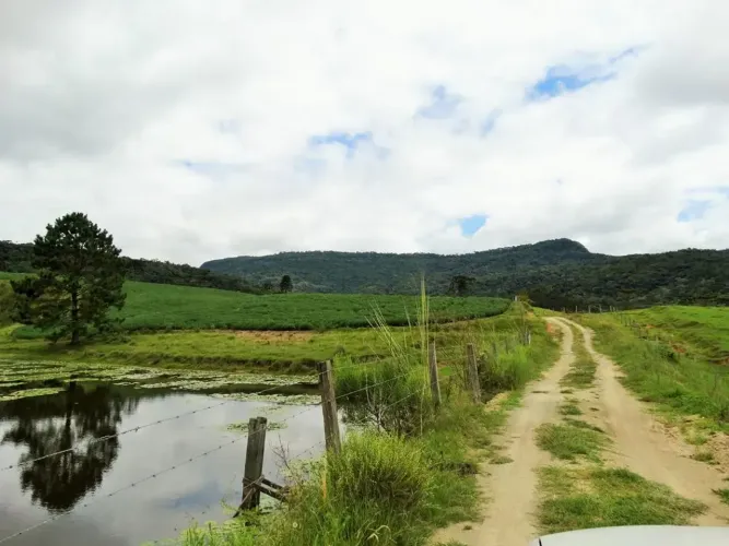 Fazenda 70ha ótima para plantio de grãos- Bom Retiro-SC