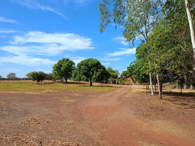 VENDO FAZENDA EM JANGADA