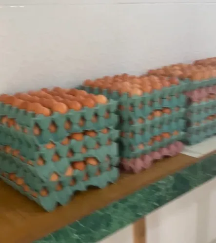 Ovos de galinha Caipira