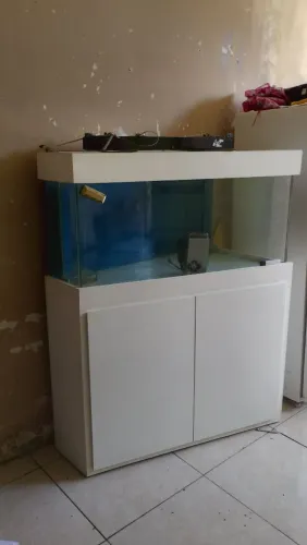 Aquário marinho+ sump