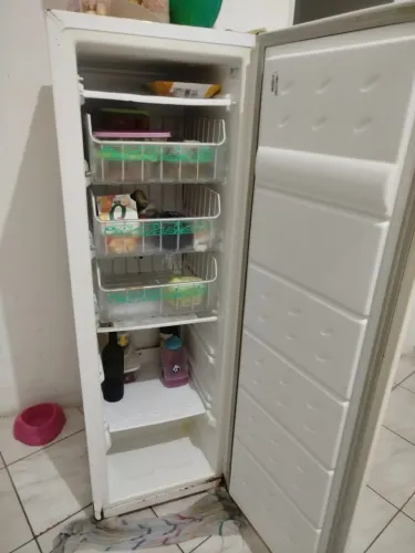 Freezer vertical 240L