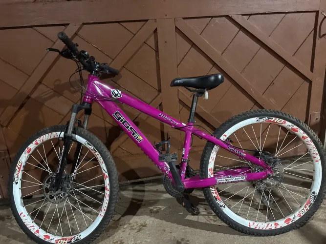 Bicicleta giobr frx 