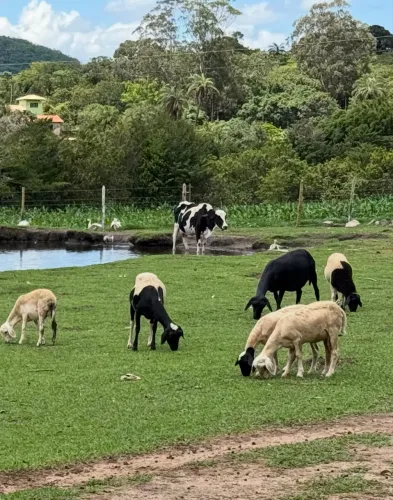 LOTE SERRA CIPÓ SÃO JOSÉ DA SERRA