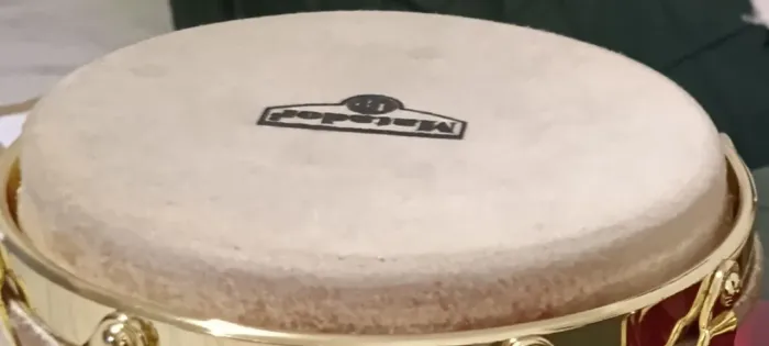 VENDO DUAS PELES DE BONGÔ MATADOR