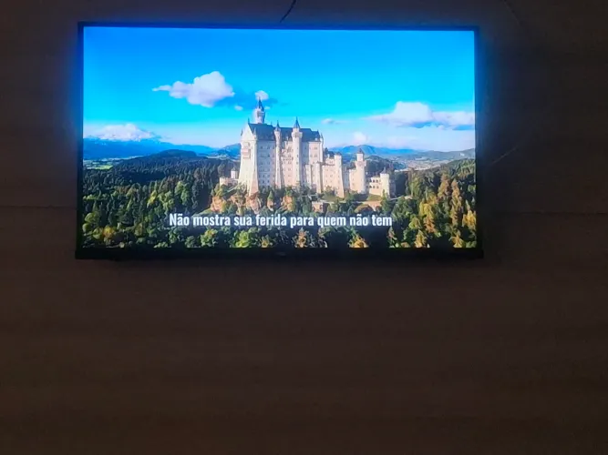 televisao