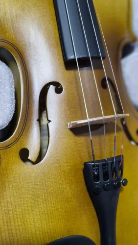 Violino 4/4