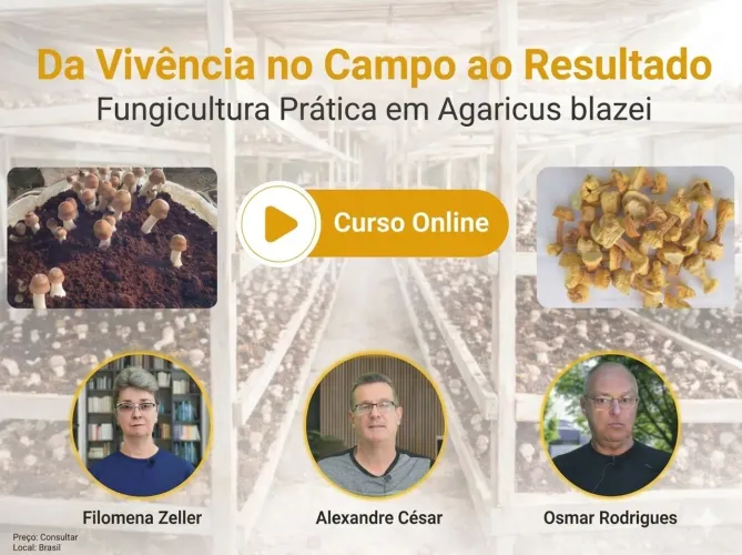 Curso Cultivo de Cogumelo Agaricus blazei