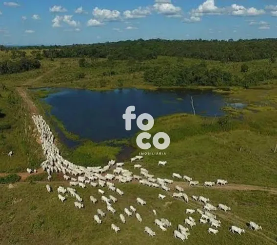 Rancho com 4 dormitórios à venda, 25 m² por R$ 11.500.000,00 - Zona Rural - Campo Florido/