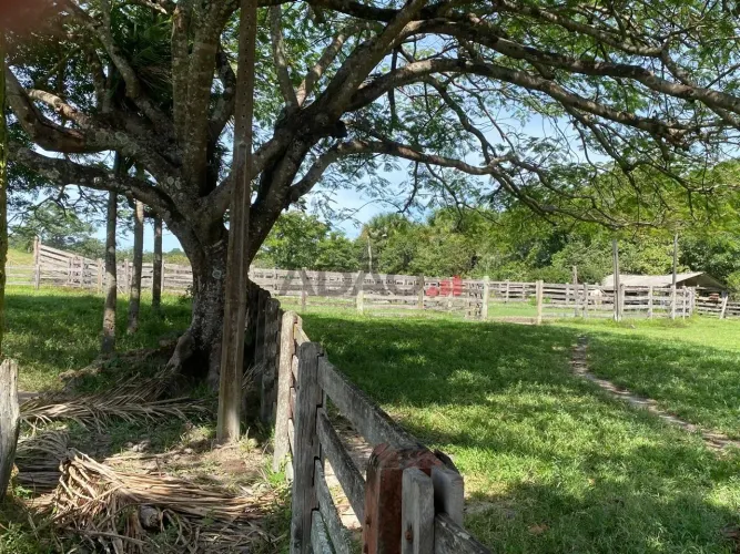 RURAL Fazenda à Venda, 1108800.00 por R$ 5500000.00 AD39895