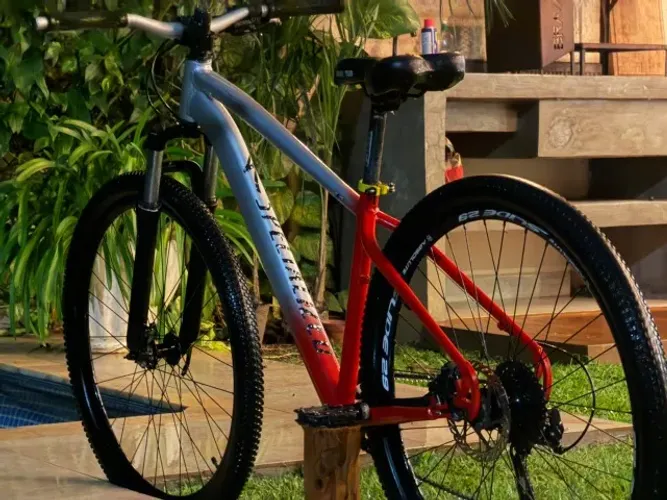 Bicicleta MTB customizada