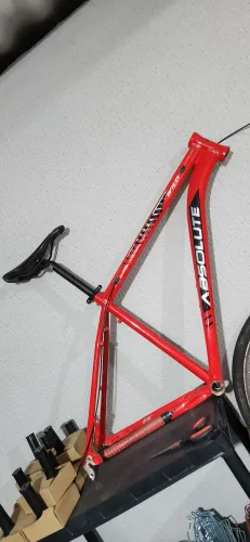 Vende-se quadro absolute wild tamanho 19