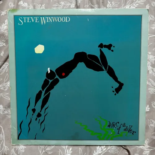Disco de Vinil Steve Winwood