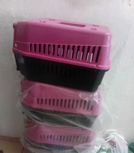 Transporte pra gato
