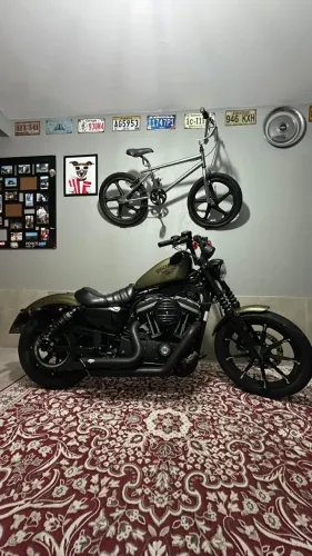 Harley 883
