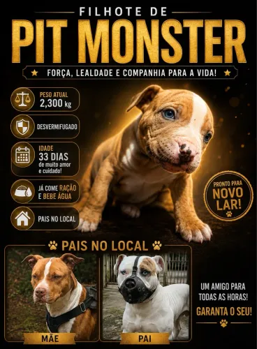 Pit Monster 