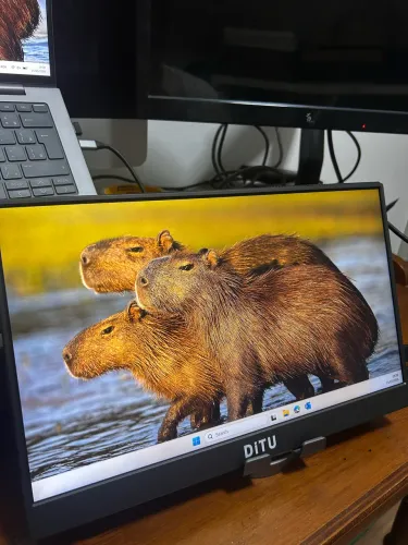 Monitor Portátil DiTU 15.6 Full HD HDMI com Capinha