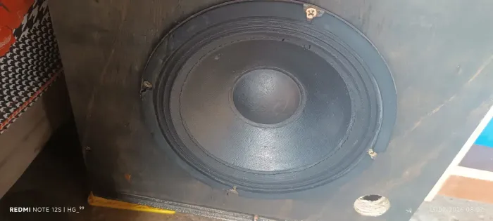 Alto falante de 8 polegadas 