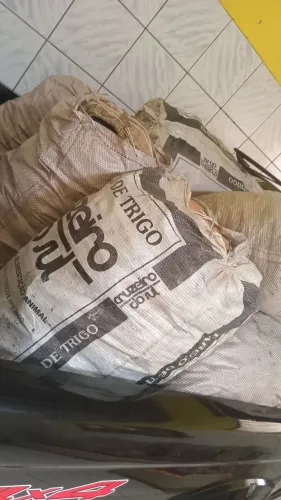 Carvão