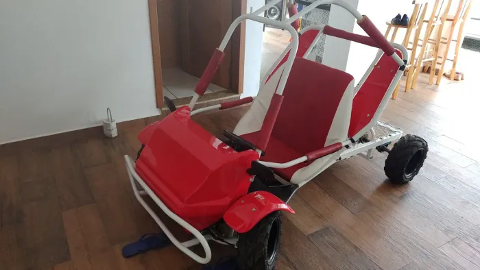 Mini Buggy Winner