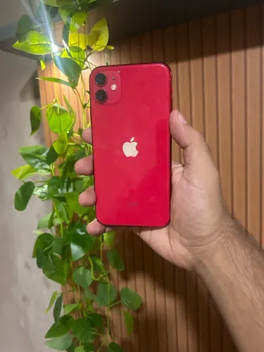 iPhone 11 64GB Ótimo estado