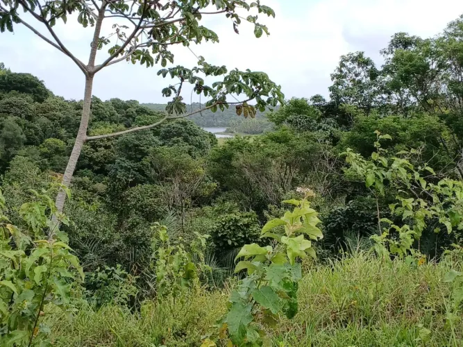 Lote à venda no MIRANTES DO JEQUIÁ, CENTRO, Jequiá da Praia, AL