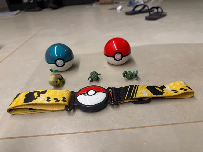 Pokemon miniatura