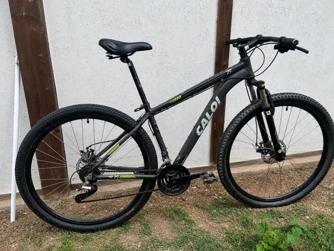 Bicicleta.