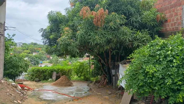 vendo terreno em enseada dos corais