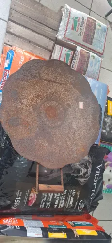 Tacho de arado com alça de madeira 