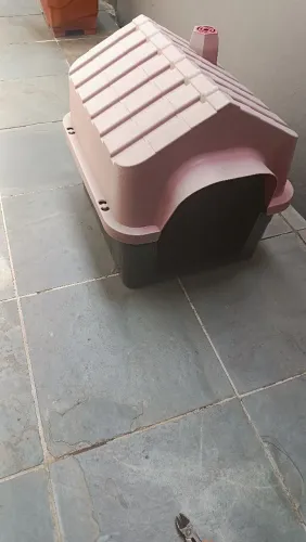 Casinha para pet