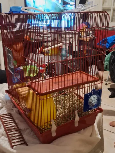 Casa de hamster 