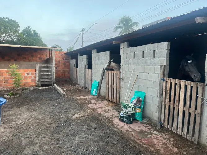 Baias para  cavalo na Pampalona 