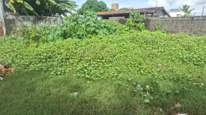 Terreno Comercial na Principal de Nova Mangabeira 20X20