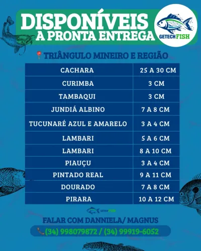 Alevinos e Juvenis 