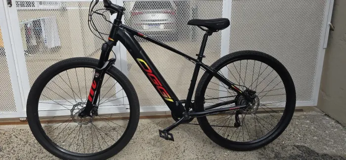 Bicicleta assistida oggi