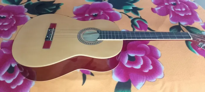 Violão Menphis, conservado com capa