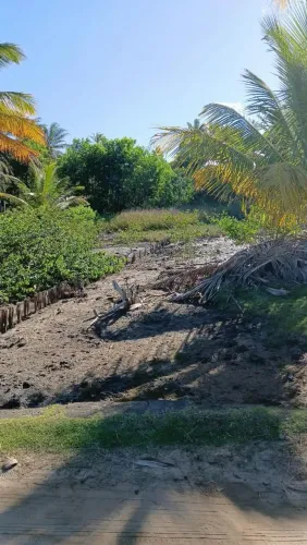 terreno em Barra grande Bahia(Camamu).