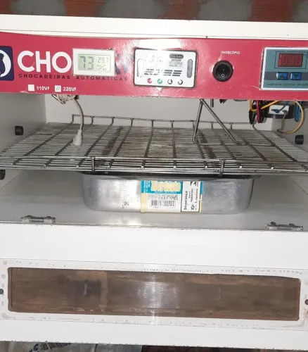 Chocadeira